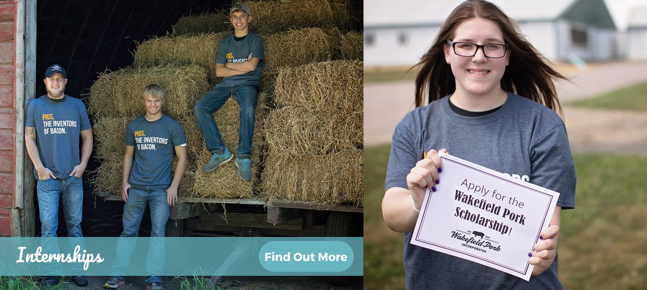 Careers at Wakefield Pork Wakefield Pork